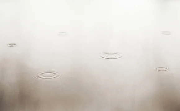 イベント